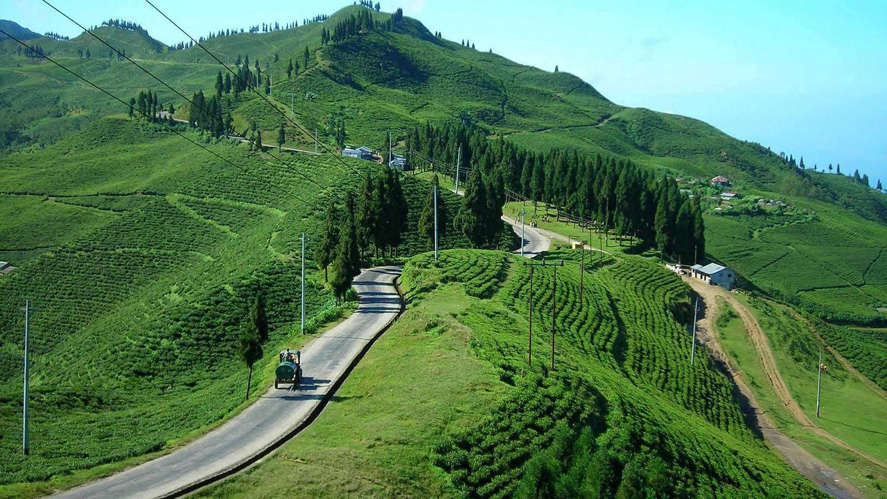 Ilam Tea Garden Resort