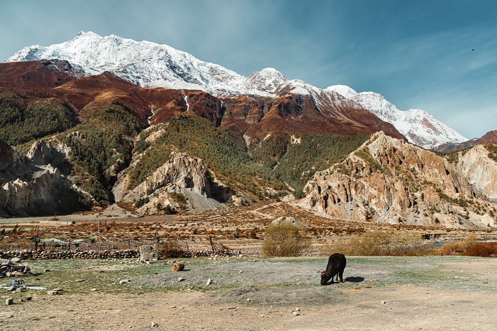 Manang Valley